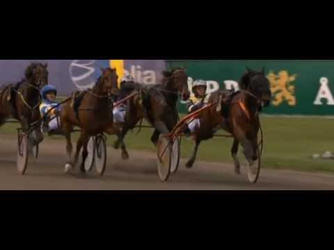 Svenskt Trav Oaks 2013_D' One_Örjan Kihlström