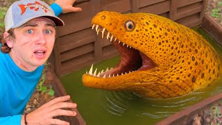 I Found a Sewer Full of Monsters!