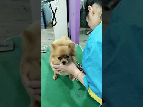 认真得来的就是美