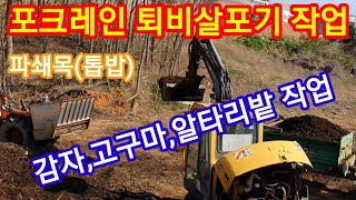 농업용 포크레인과 트랙터 퇴비살포기로 알타리,감자,고구마심을밭에 파쇄목 살포 ,농업용굴삭기  귀농,귀촌,농기…
