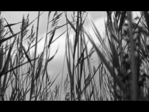 Выдыхай (Official Music Video)