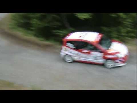 Poli-Pezzoli 29 Rally prealpi orobiche - 2 Rally int. valli bergamasche 2012