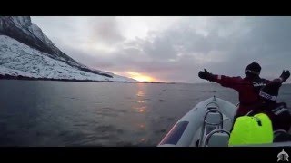 Swim with Orca Expedition 2016