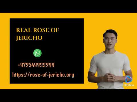 The origin of the true Rose of Jericho