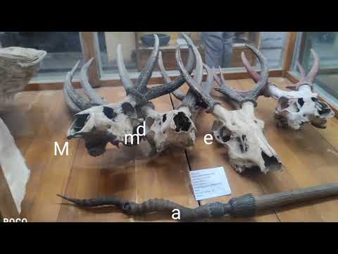 Mymensing Town & Shashi Lodge the Historical Landmark (Part 1)