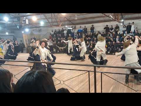 CPF PIÁ DO SUL ADULTA SARAU - TATU COM VOLTA NO MEIO