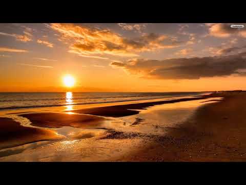 Nio Garcia x J Balvin x Bad Bunny   AM Remix