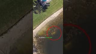 Download lagu Misteri Yang Terungkap Oleh Google Earth #shorts mp3