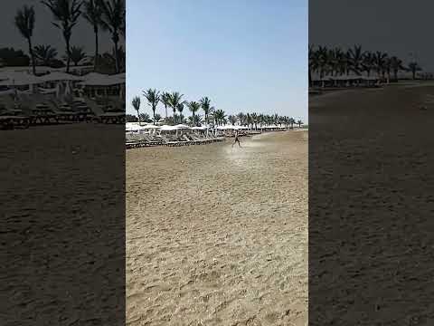 #youtubereels #music