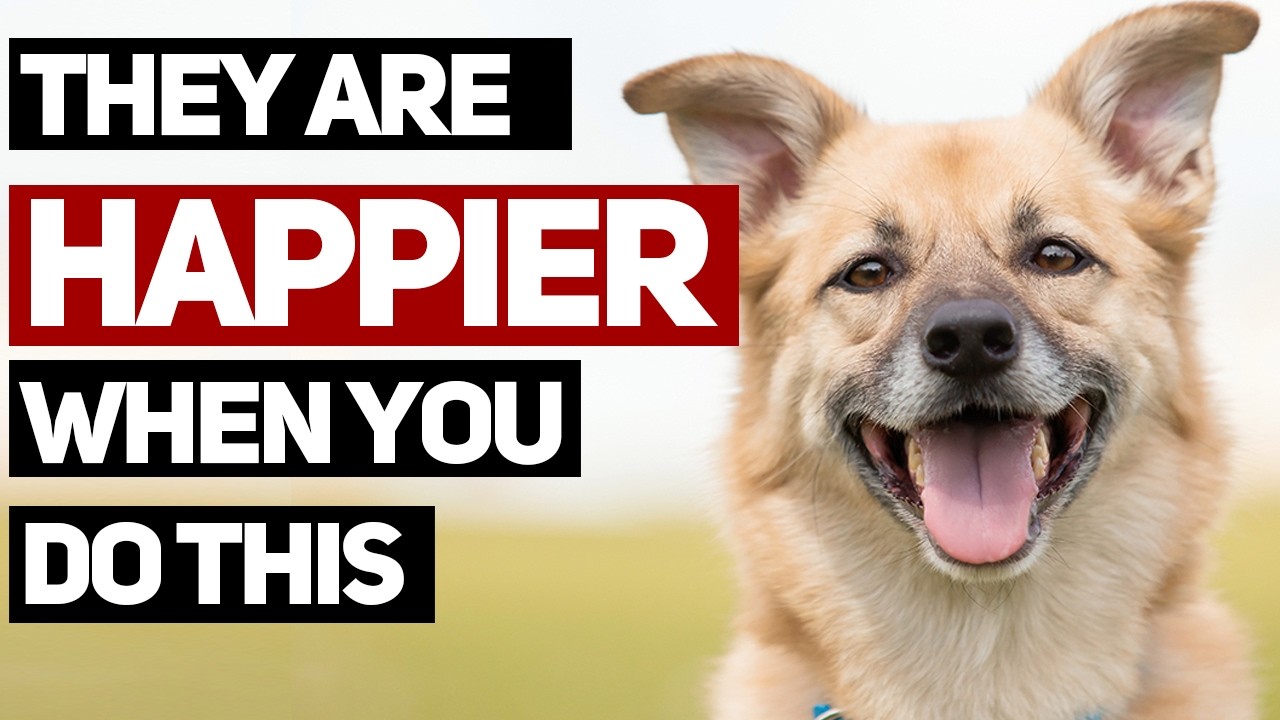 15 Subtle Signs Your Dog is Truly Happy and Healthy