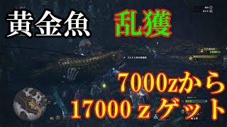 MHW金策　手軽に最大17000z稼げるドス黄金魚の場所と釣り方【ゆっくり実況】(ちなみに金の古代竜人手形Gに繋がります)