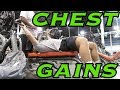 CHEST DAY ANNIHILATIION | 18 Year Old Bodybuilder Larson Ford