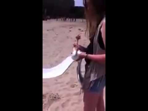 Vuz.fr - Une fille attrape un goeland sur une plage Saint Malo