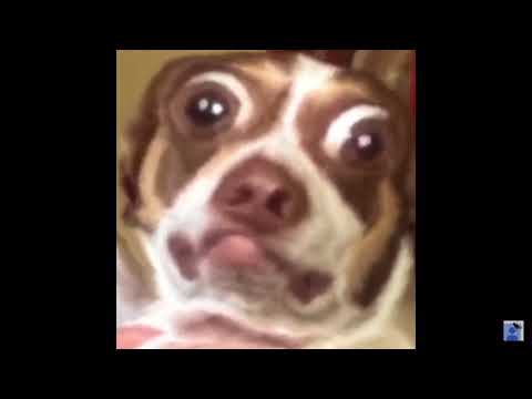 Mr Bubz (content aware scale)