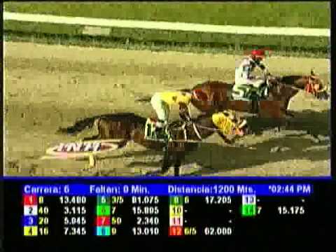 Resumen Domingo, 19 de Enero de 2014 - La Rinconada