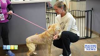 Download lagu BEAUFORT COUNTY NEWS | REPORT | FEBRUARY 3, 2026 | Watch LIVE @www.BeaufortCounty.tv mp3 Download lagu BEAUFORT COUNTY NEWS | REPORT | FEBRUARY 3, 2026 | Watch LIVE @www.BeaufortCounty.tv mp3