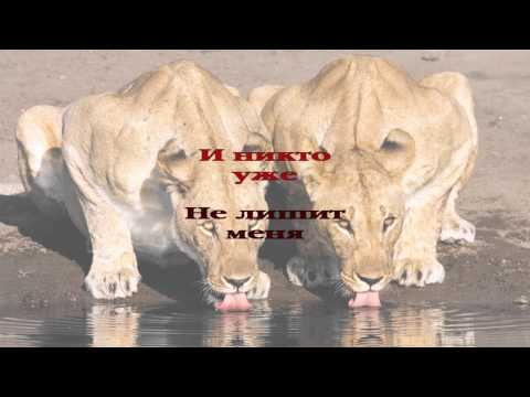 250 Ты - мой Бог Святой