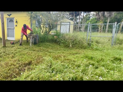 THIS Kind of VIDEO Doesn’t Go VIRAL Anymore.