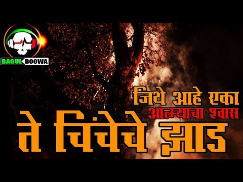 ते चिंचेचे झाड - Marathi Horror Story Promo | Bagukboowa