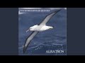 Albatros