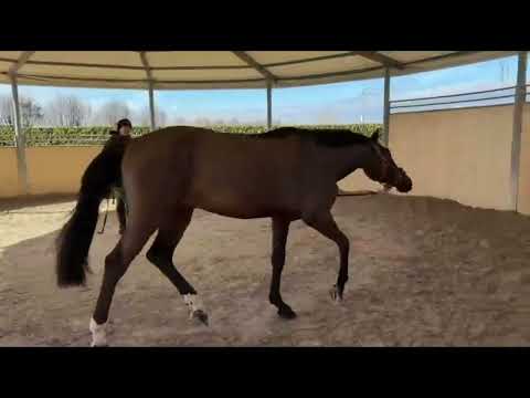 Illimitation ☆ (IMAGINATION x EMIR R) - Video 5 video thumbnail