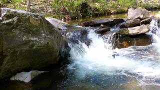 preview picture of video 'Caney Creek Mini-Waterfall April 26, 2014 (1 of 3)'