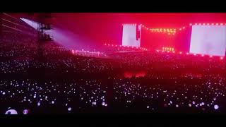 Download lagu BTS-DOPE [LIVE] Easy Lyrics|Sub Indo|Lirik Terjemahan Indo mp3