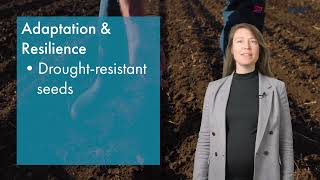 Download lagu Climate Investment Playbook | What is climate investment? mp3