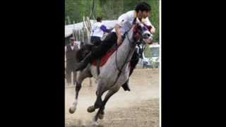 CİRİT BAYBURT ATLI SPOR KULÜBÜ - KARANFİLSİN TARÇINSIN -