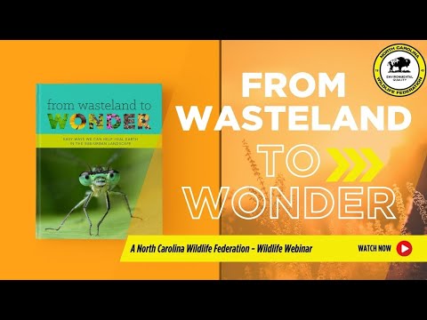 From Wasteland to Wonder - Easy Ways We Can Help Heal Earth in the Sub/Urban Landscape - NCWF