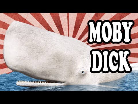 The Real Ship-Destroying White Whale That Inspired Moby Dick Video