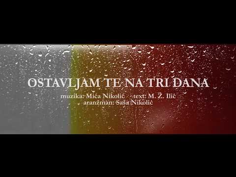 Djani Ostavljam Te Na Tri Dana Official Lyric Video 2019