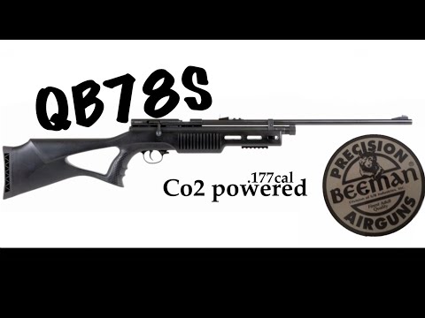 A REVIEW: Beeman Dual Caliber Air Rifle .177