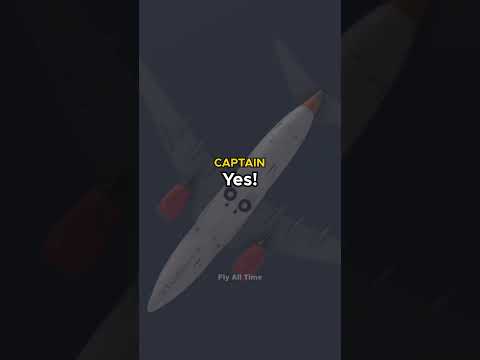 Falling at 54,000ft per minute: Adam Air 574