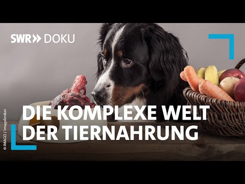 , title : 'Zum Fressen gern - die komplexe Welt der Katzen- und Hundenahrung | SWR Doku'