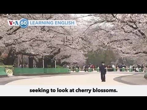 VOA60：2020年3月27日 (VOA60: March 27, 2020)