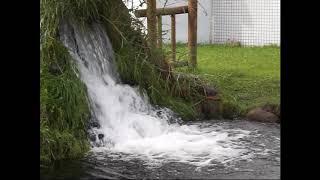 サケのふるさと.千歳水族館.跳躍的小鮭魚？ (2007年)