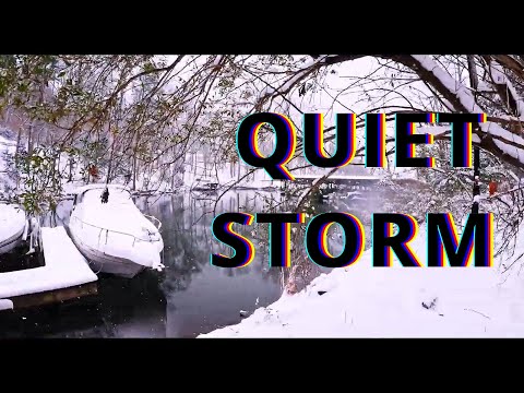 Finding Beauty in the Storm | Snow Walk