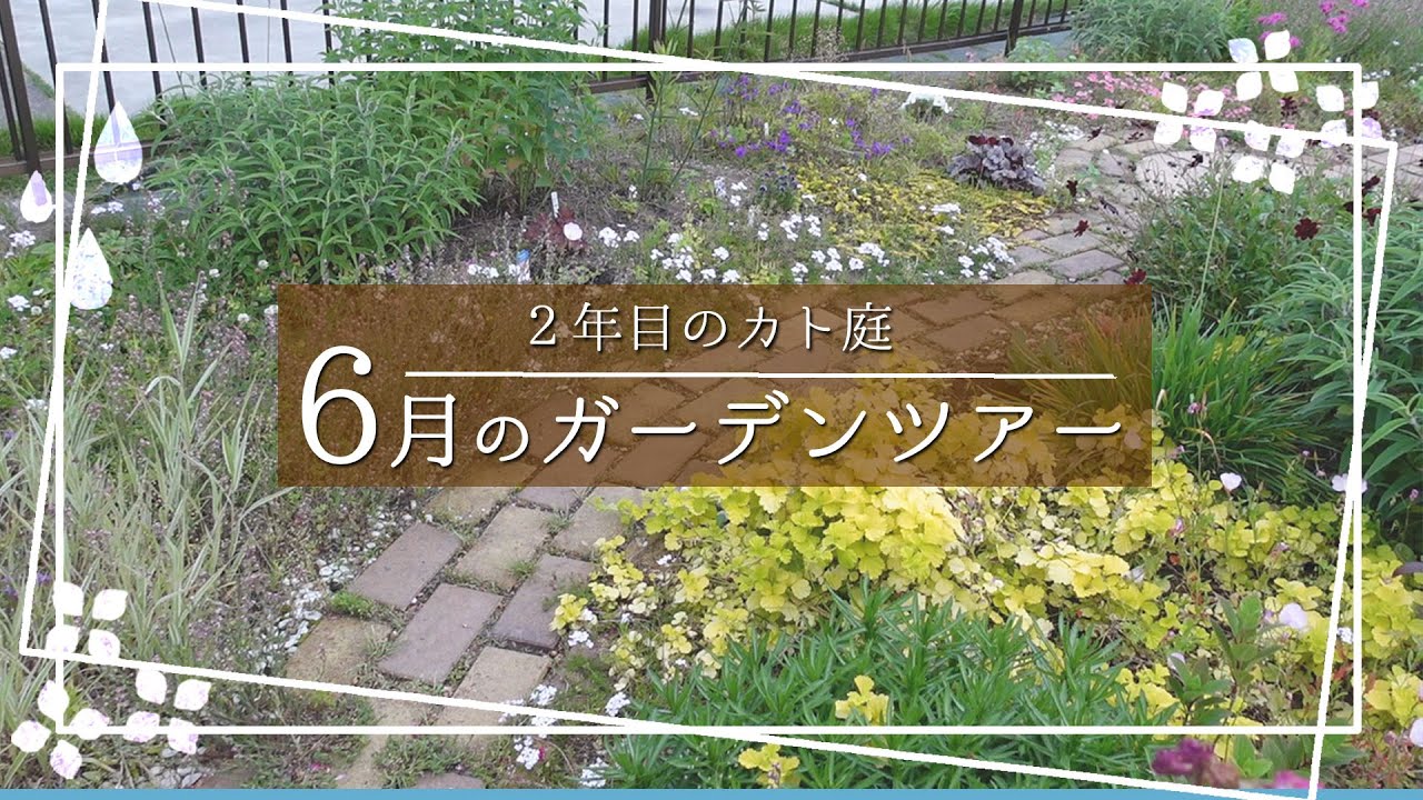 【６月上旬の様子】宿根草・多年草・低木がメインのお庭が２年目になり充実してきました♪