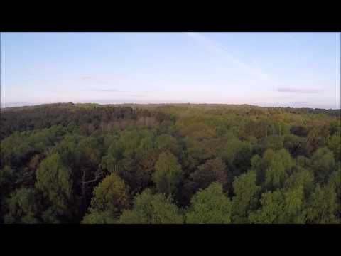 Hubsan H501S Trees sideways anti shake test