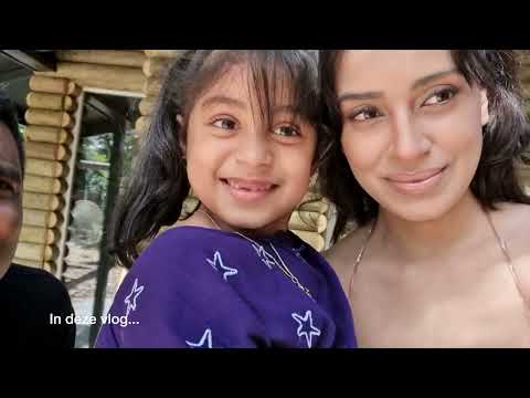 VAKANTIE HUISJE & WILDLANDS - VLOG #310