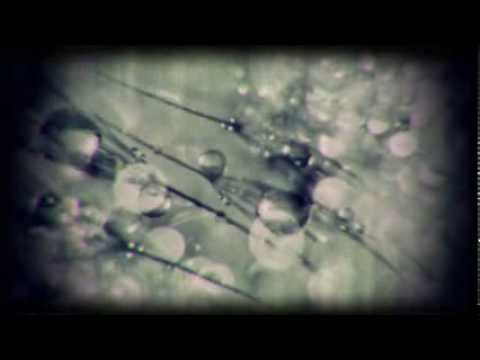 Edit Select - Phlox LP (Prologue) / Video By amoeba