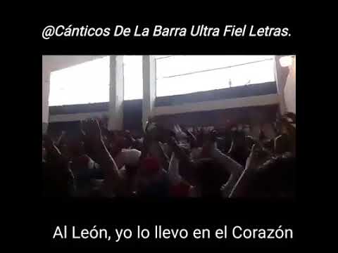 "Al León, Yo Lo Llevo En El Corazón" Barra: La Ultra Fiel • Club: Club Deportivo Olimpia