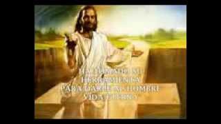 CARPINTERO RENÉ GONZÁLEZ