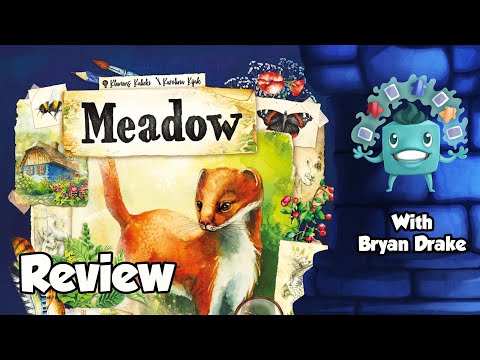Meadow Review - with Bryan