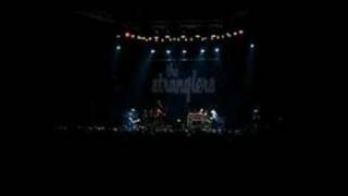 THE STRANGLERS LIVE AT THE ROUNDHOUSE