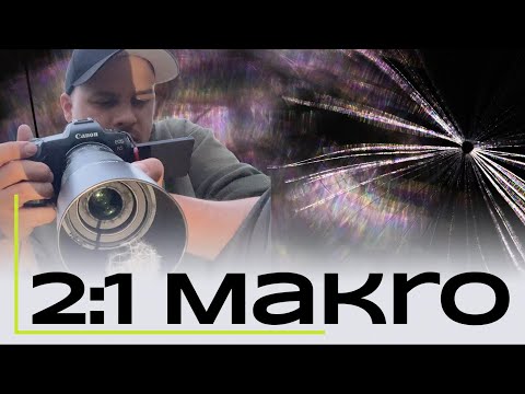 Makrotour mit dem LAOWA 90mm f/2.8 2X Ultra Macro