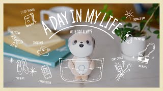 シャープ SR-C01M-W コンパニオンロボット ポケとも |エディオン公式通販