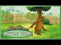 Little Bear To Grandmother S House Grandfather Bear Mother Bear S Robin Ep 6