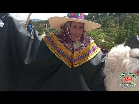 TIYARIKUI ACOBAMBA HUANCAVELICA 2025